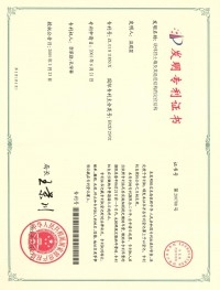[발명특허] 중국특허